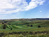 美麗藍天,樂氏科技.申報